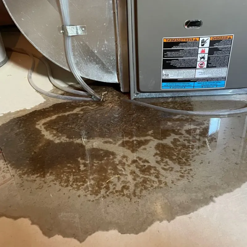 Pipe Burst and Leak Restoration in Fort Edward, NY